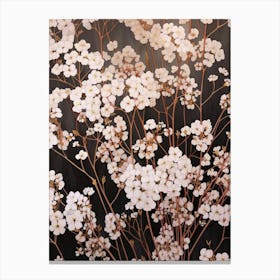 Flower Illustration Gypsophila Babys Breath 3 Canvas Print