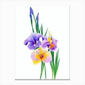 Iris Watercolour Flower Canvas Print
