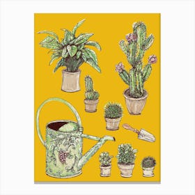 Cactus Garden Canvas Print