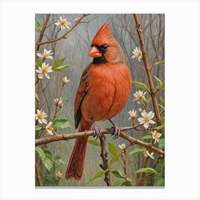 Cardinal In Bloom Canvas Print