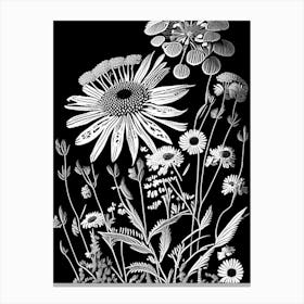 Sneezeweed Wildflower Linocut 2 Canvas Print
