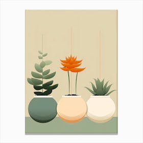 Three Potted Plants 1 Canvas Print