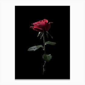 Single Red Rose On Black Background 18 Canvas Print