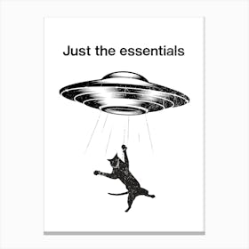 Just The Essentials Canvas Print