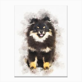 Pomeranian Dog 1 Canvas Print