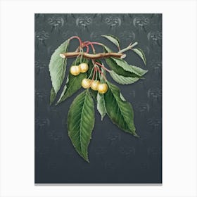 Vintage Cherry Botanical on Slate Gray Pattern n.2200 Canvas Print