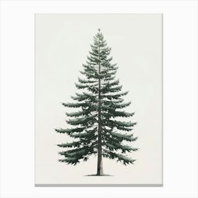 Douglas Fir Tree Pixel Illustration 3 Canvas Print