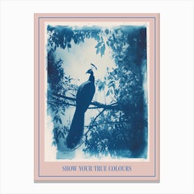 Cyanotype Inspired Peacock In The Tree 2 Poster Canvas Print