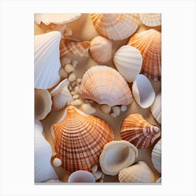 Sea Shells 1 Canvas Print