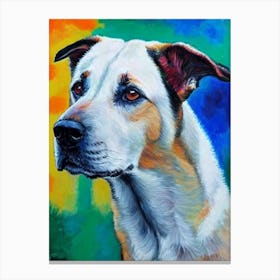 Belgian Malinois Fauvist Style dog Canvas Print