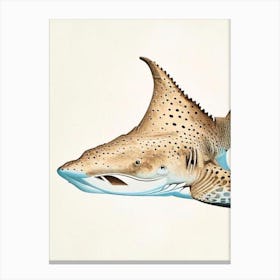 Wobbegong Shark 2 Vintage Canvas Print