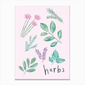 Herbs Canvas Print
