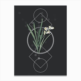Vintage Gladiolus Xanthospilus Botanical with Geometric Line Motif and Dot Pattern n.0262 Canvas Print