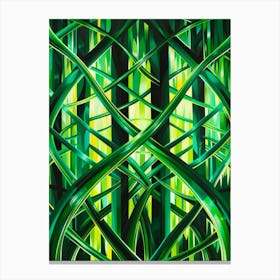 Green Ferns Canvas Print