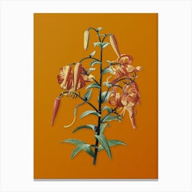 Vintage Tiger Lily Botanical on Sunset Orange n.0286 Canvas Print