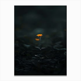 Flower In The Dark 30 Canvas Print