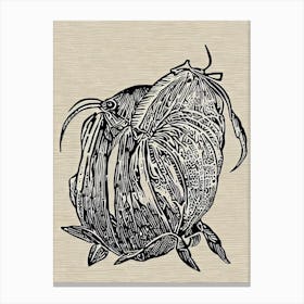 Hermit Crab Linocut Canvas Print