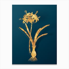 Vintage Guernsey Lily Botanical in Gold on Teal Blue n.0310 Canvas Print