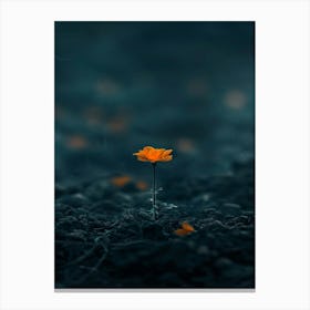 Single Flower In The Dark 67 Canvas Print