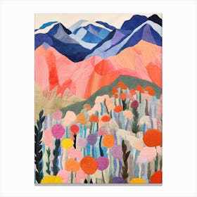 Mount Washington United States 4 Colourful Mountain Illustration Canvas Print