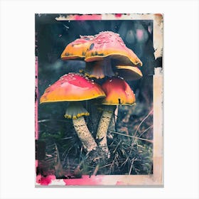 Mushrooms Retro Photo Inspired 2 Canvas Print