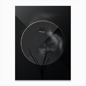 Shadowy Vintage Nodding Onion Botanical in Black and Gold 1 Canvas Print