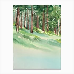 Muir Woods National Park United States Of America Water Colour Poster Canvas Print