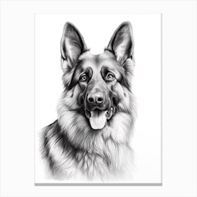 German Shepherd Dog, Line Drawing 1 Canvas Print