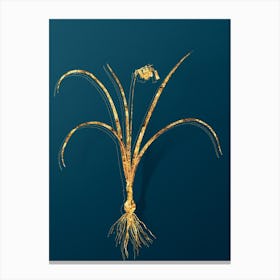 Vintage Brimeura Botanical in Gold on Teal Blue n.0361 Canvas Print