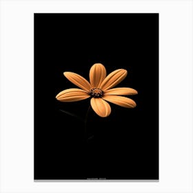 Flower On A Black Background 4 Canvas Print