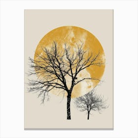 Trees In The Moonlight Canvas Print