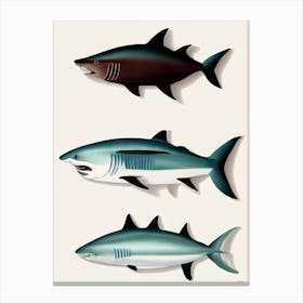 Bonnethead Shark Vintage Poster Canvas Print