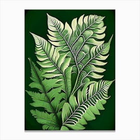 Soft Shield Fern 4 Vintage Botanical Poster Canvas Print
