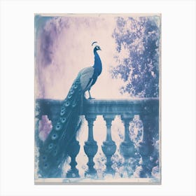 Vintage Peacock On A Banister Cyanotype Inspired 2 Canvas Print
