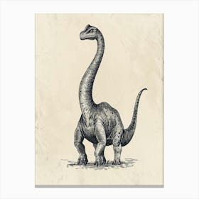Brachiosaurus Dinosaur Black Ink & Sepia Illustration 2 Canvas Print