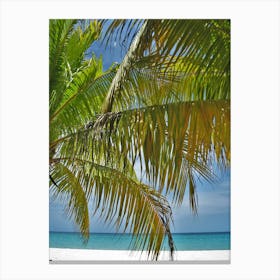 Beach Scene With Palm Trees Canvas Print