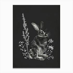 Mini Sable Rabbit Minimal Illustration 4 Canvas Print