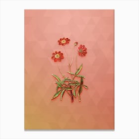 Vintage Cosmos Flower Branch Botanical Art on Peach Pink n.1002 Canvas Print