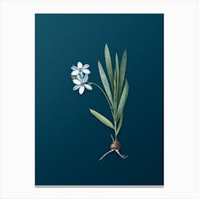 Vintage Gladiolus Plicatus Botanical Art on Teal Blue Canvas Print