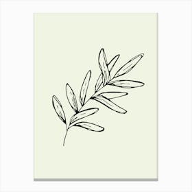 Olive Branch line art Canvas Print