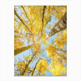 Yellow Trees Canvas Print