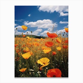 Poppies In A Field Canvas Print