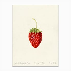 Strawberry 6 Canvas Print