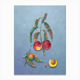Vintage Walnut Peach Botanical Art on Summer Song Blue n.0927 Canvas Print