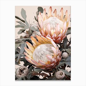 Flower Illustration Protea 2 Canvas Print