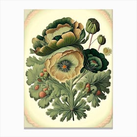 Ranunculus Floral 2 Botanical Vintage Poster Flower Canvas Print