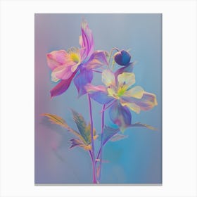 Iridescent Flower Columbine 2 Canvas Print