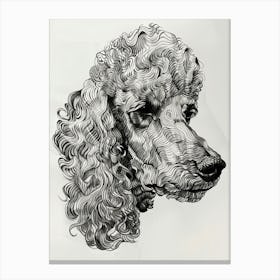 Poodle Dog Wavy Lines 2 Canvas Print
