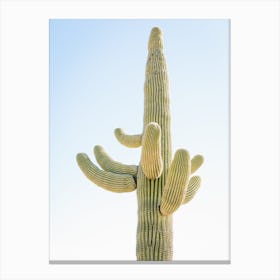 Desert Single Cactus Canvas Print
