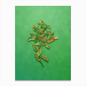 Vintage Evergreen Oak Botanical Art on Classic Green n.1527 Canvas Print